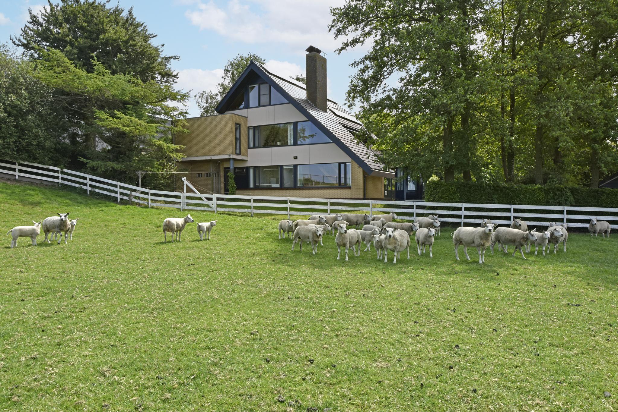 koop  Ter Aar  Woudsedijk 18 – Foto 5