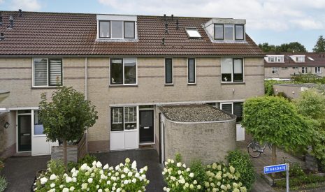 Hoofdfoto van Nieuwkoop Blaasbalg 41
