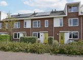 koop  Noorden  Meerkoet 41 – Foto