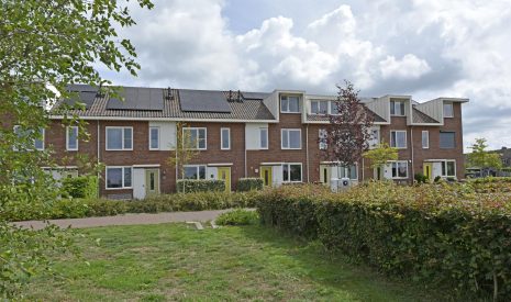 koop  Noorden  Meerkoet 41 – Hoofdfoto